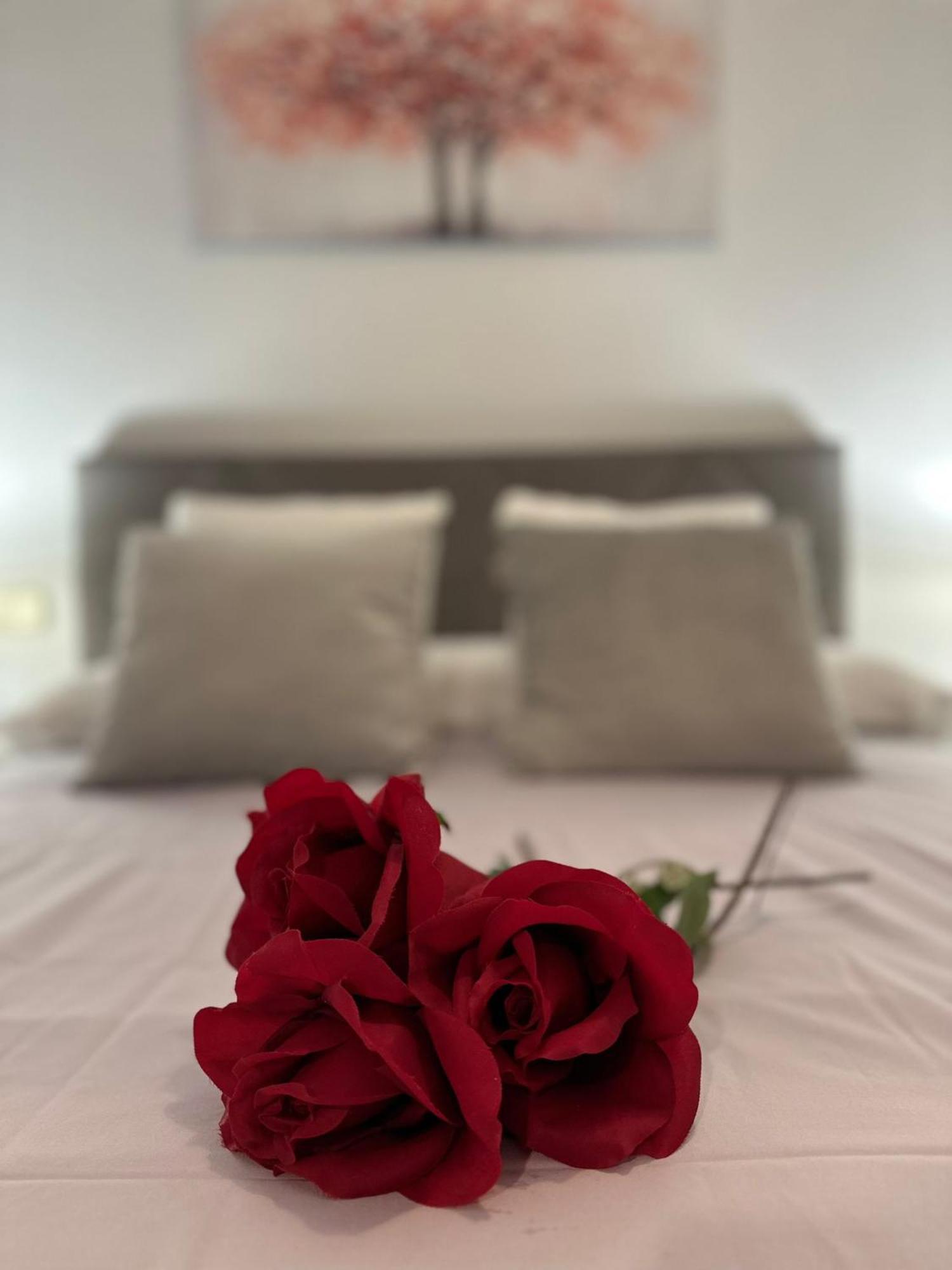 טורוקס Apartamento Penalver 813 מראה חיצוני תמונה